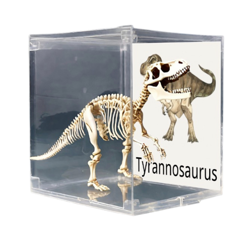 Dino Museum Dinosaur Digging Kit with Display Unit